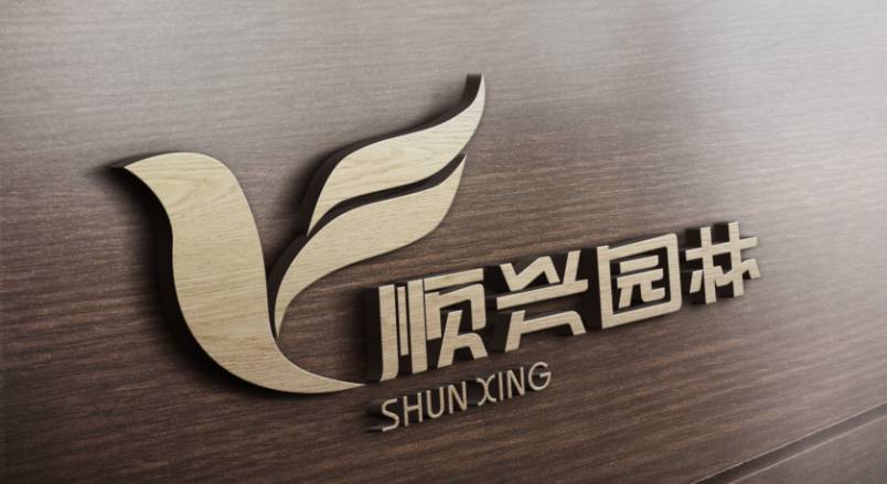 滨湖区VI设计：城市品牌蝶变的核心引擎